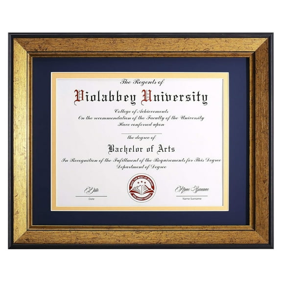 VIOLABBEY 8.5x11 Diploma Frame Gold, 8.5 x 11 Certificate Frame with Mat or 11x14 College Degree Frames without Mat, Wall or Tabletop Display, Tempered glass (Navy Gold Double Mat)