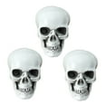 thumbnail image 2 of HaoXun 3PC 5cm Mini Plastic Skull Heads - Realistic Halloween Skeletons for Spooky Party Decor, Indoor/Outdoor Halloween Prop 2025, 2 of 7