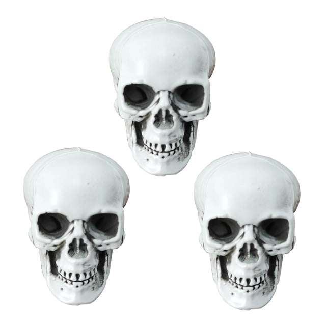 CEHVOM 3 Pcs Squelettes d'Halloween en Plastique Simulation Réaliste Crâne Humain Tête-Cou Modèle Accessoire d'Halloween Mini Squelette Réaliste Décoration Effrayante d'Halloween Liquidation