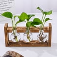 thumbnail image 7 of Dserhfy Plants Propagation Station with Wooden Stand Indoor Plant Terrarium Hydroponic Flower Holder Container Decoration Table Centerpiece, 7 of 7