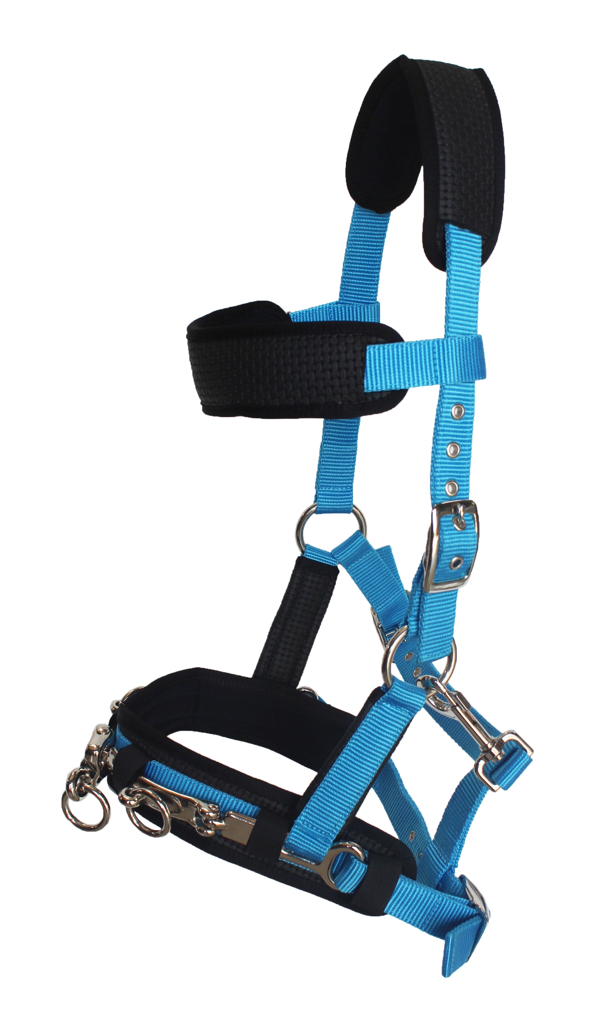 Horse Nylon Lunge Cavesson Neoprene Padded Training Halter Turquoise