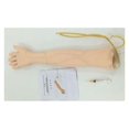 thumbnail image 4 of Pratique Anatomique Taille Réelle Phlébotomie Venipuncture Simulateur Médical Kit de Formation Infirmière, Longue Durée, 4 of 6