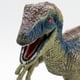 thumbnail image 4 of Figura De Dinosaurio Velociraptor Didacti Juegos 40 cm, 4 of 6