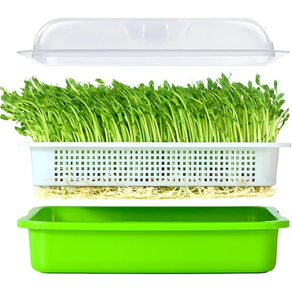 12.8x9.5x1.6 In Green Seed Sprouting Tray with Drain Holes,Microgreens Growing Trays,Growing Trays,seed Germination Propagation Trays for Garden,Home,Office