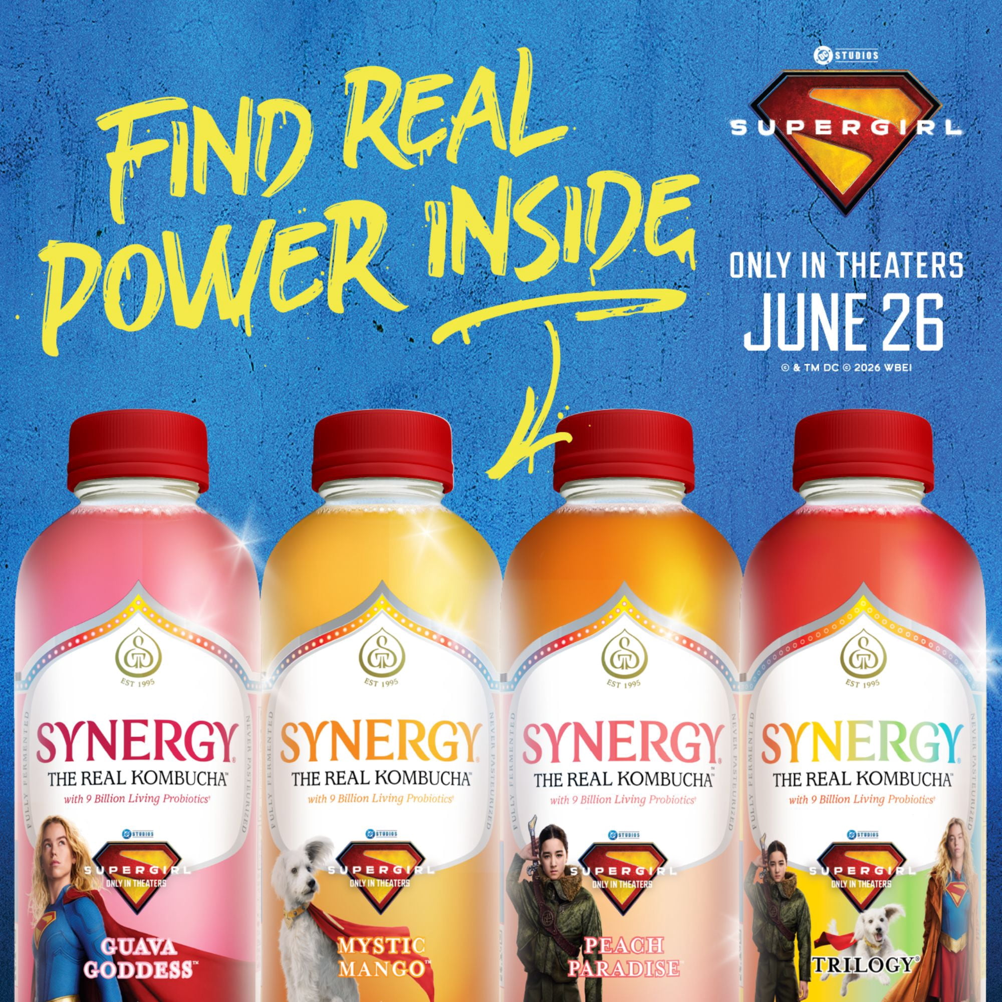Synergy Peach Paradise Kombucha 16 fl oz