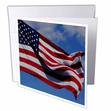 3dRose Patriotic American Flag Oil Painting, Greeting Cards, 6 x 6 inches, set of 12