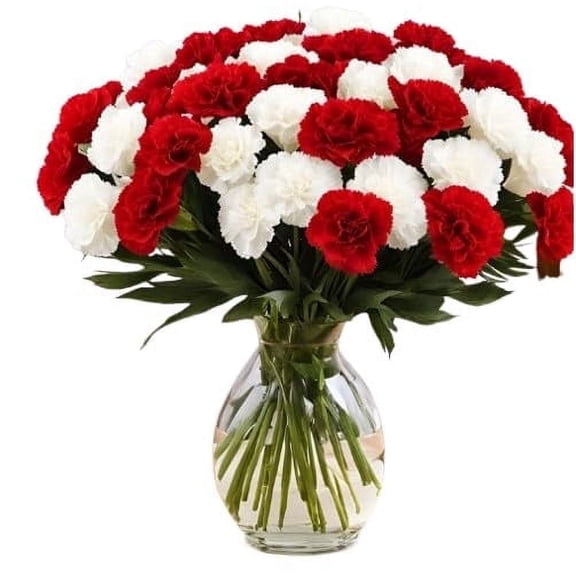 KaBloom : Fall Collections-Bouquet of 24 Red and White Carnation with vase