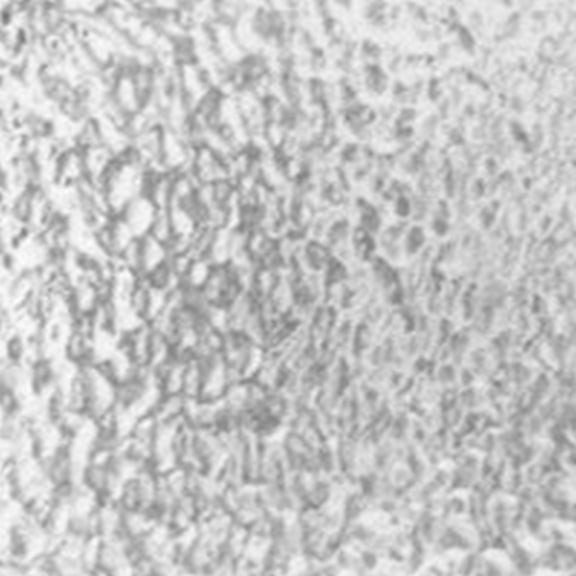 Wissmach Stained Glass - CLEAR CORELLA CLASSIC