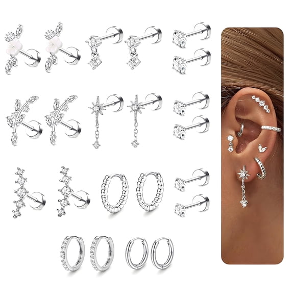 DESIGNICE Earring Sets,Stainless Steel Earring Sets for Women,Diamond Hypoallergenic Earrings Small Earrings for Women,12Pairs,Silver