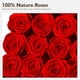 thumbnail image 5 of Caja de rosas preservadas Eterfield, 17 x 17 x 14 cm, 16 rosas rojas, 5 of 6