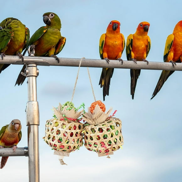 Runquan Bird Chewing Toys Bird Accessories Foraging for Finches Cockatiels Cockatoos