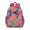 Pioneer Flower Floral, variant on Pioneer Flower Floral Print Pattern Backpack for School,Cute School Bag,Schoolbag with Adjustable Shoulder Straps & Padded Back,15.25"x11.5"x5.25"