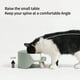 thumbnail image 2 of Tazón De Alimentación Para Gatos Y Perros, Tazón De Cerámica Antivuelco, Tazón De Comida Para Gatos, Tazón De Comida Para Perros, Suministros Para Mascotas Scienceny PT001039-00, 2 of 5
