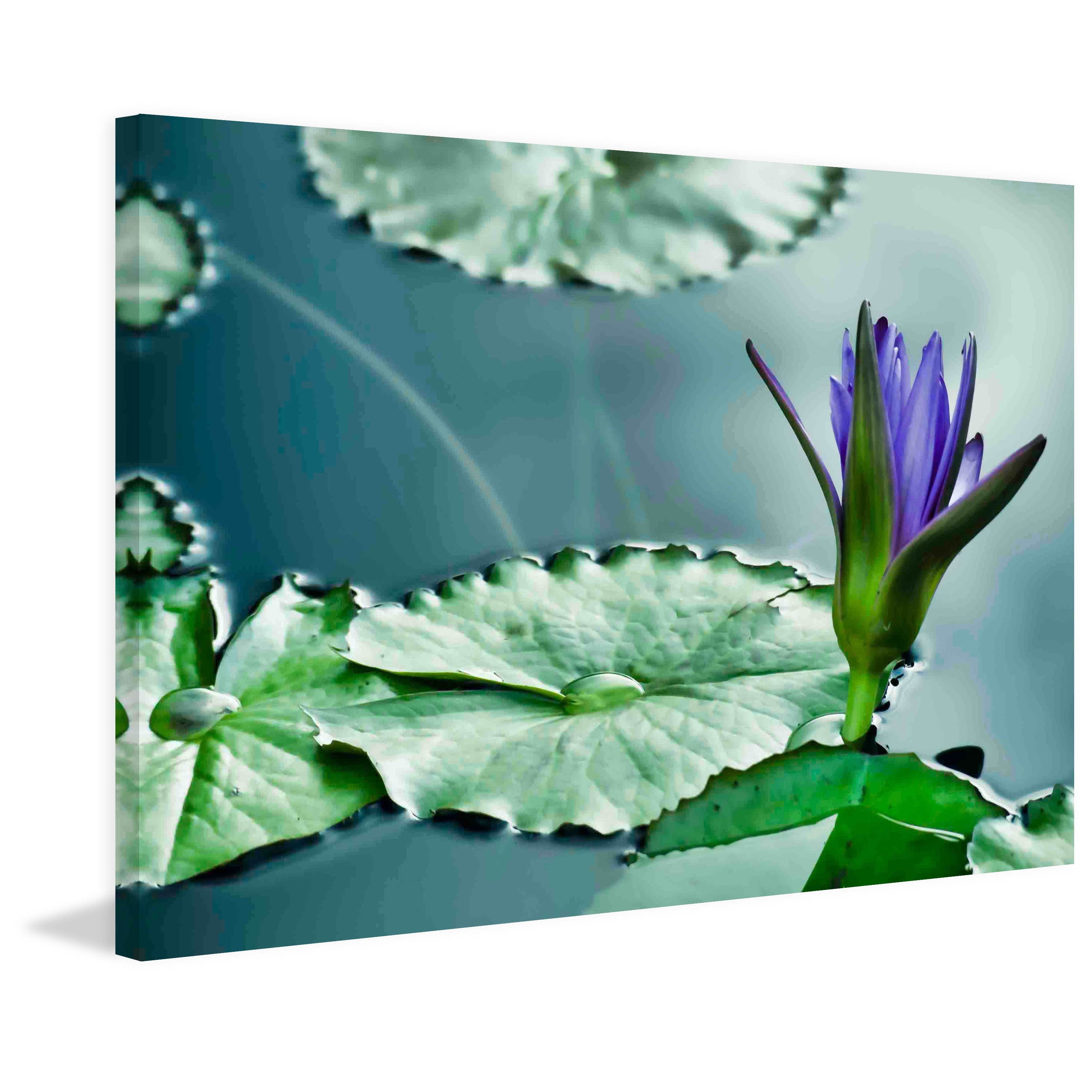 "Lily on the Pond" Painting Print on Canvas