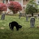 thumbnail image 5 of Ndcxsfigh Estaca Jardín Black Cat Al para Garden Yard Farm (25x22.5cm Metal A), 5 of 5