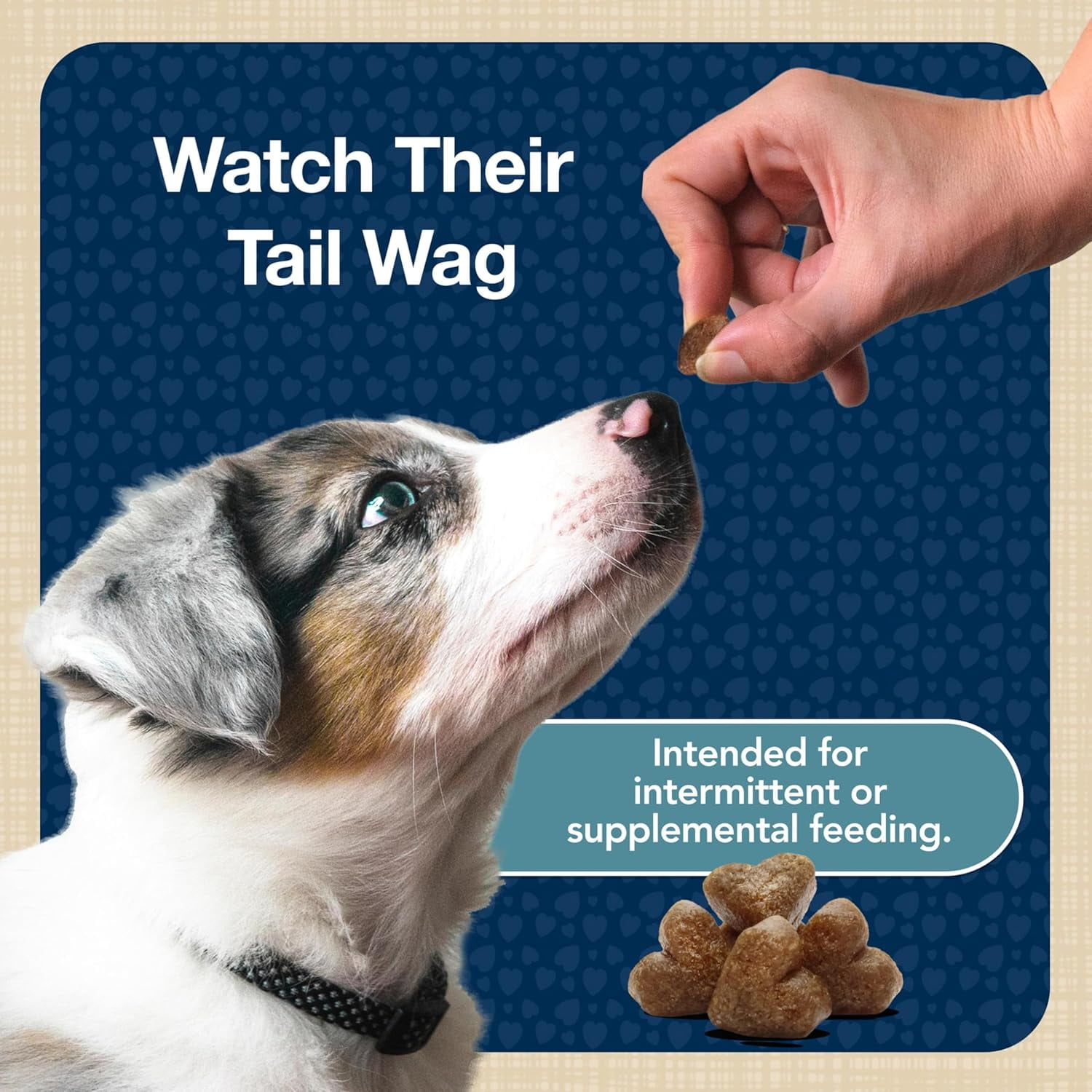 Friandises molles pour chiens Blue Buffalo Bits pour l'entraînement, recette à la dinde, sac de 113 g