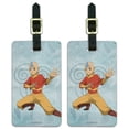 thumbnail image 1 of Avatar the Last Airbender Aang Luggage ID Tags Carry-On Cards - Set of 2, 1 of 1