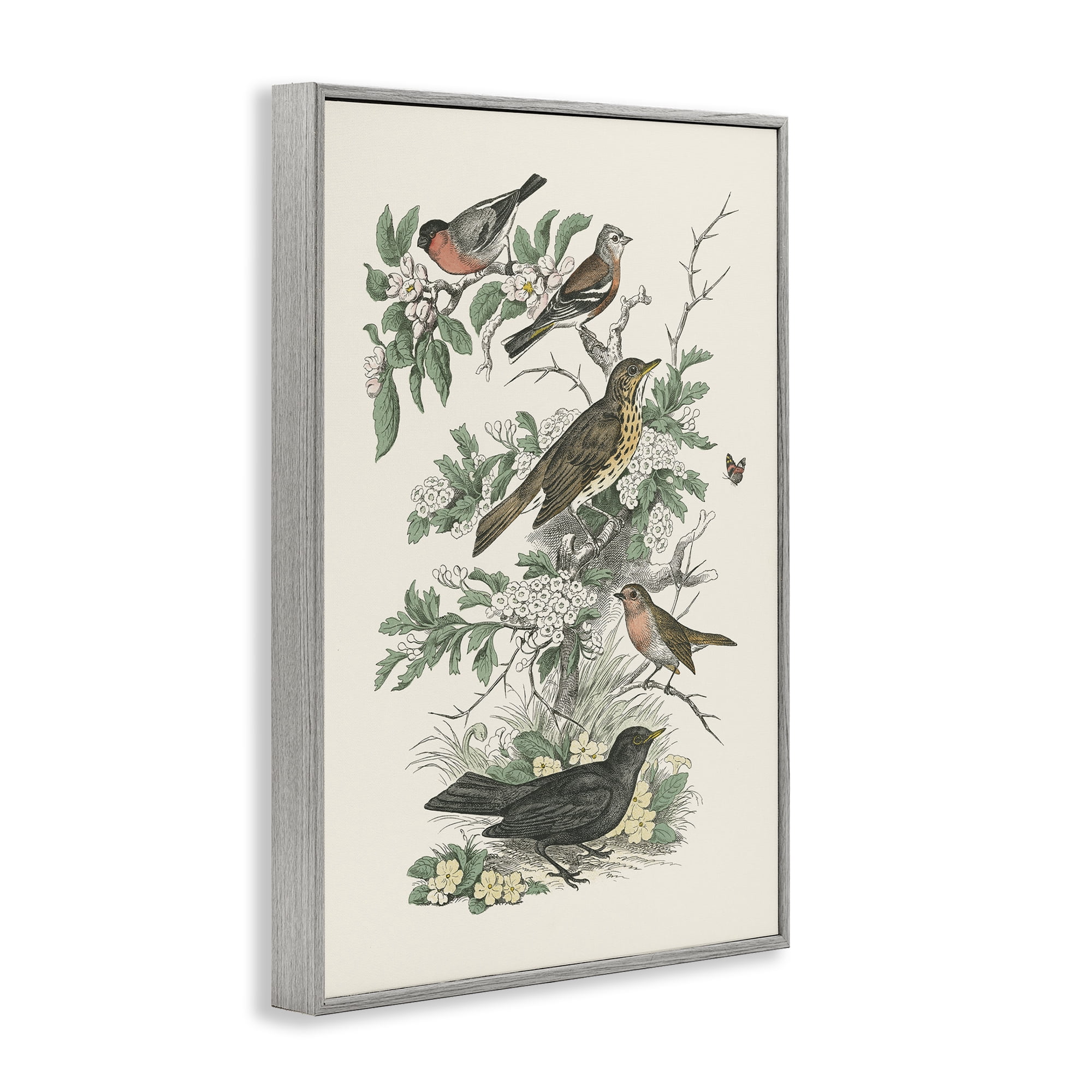 Stupell Industries Honeybloom Birds Perched Botanical & Floral Painting Gray Framed Art Print Wall Art, 20 x 30