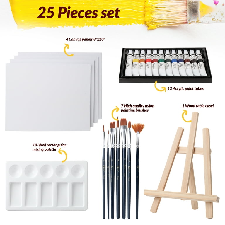 RISEBRITE acrylic paint set with canvas painting kit for adults
