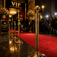 thumbnail image 6 of ABPETE 5 Ft Stanchion Rope, Twisted Barrier Rope with Snap Hooks for Queue Posts, Crowd Control Divider for Hotels, Events, Banks, Theaters and Exhibitions, Black Golden, 6 of 7