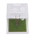 thumbnail image 1 of unbranded Caja De Cría Acrílica Para Saltadoras Con Ventilación Y Para Uso En Casa Y Oficina, 1 of 6