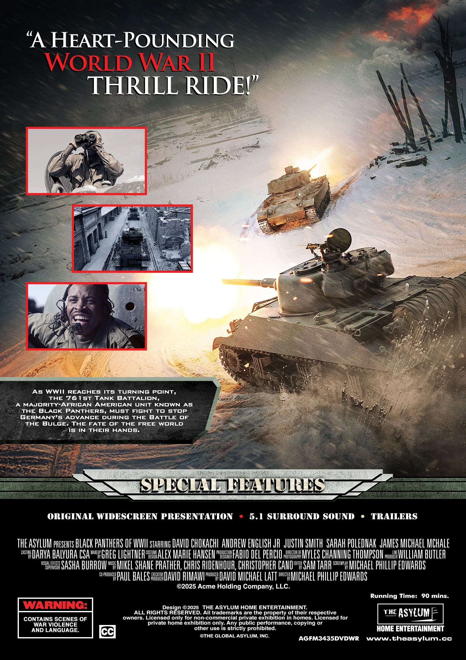 Black Panthers Of WWII (DVD) Greenfield Media, Action - Walmart.com