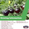 thumbnail image 2 of Harris Seeds - Organic Cherry Indigo Blue Berries Tomato Seeds - 50 Seeds, 2 of 7