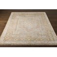 thumbnail image 3 of BoutiqueRugs Aliang Traditional Area Rug - Beige, Sage, PaleBlue - 2' x 3', 3 of 11