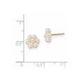 thumbnail image 2 of Real 14kt Yellow Gold 2-3mm White Button Freshwater Cultured Pearl Flower Earrings; for Adults and Teens; for Women and Men, 2 of 2