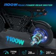 Electric Bike for Adults,1100W Peak Motor 16 x 4.0 Fat Tires 28MPH E-Bike, 48V Removable Battery Dirt Bike, Dual Suspension & Brakes Motorcycle, 7-Speed, All Terrain for Mountains, Snow