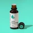 thumbnail image 3 of Plant Therapy Spearmint Organic Essential Oil 30 mL (1 oz) 100% Pure, Undiluted, Natural Aromatherapy, 3 of 7