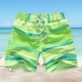 thumbnail image 2 of Huanledash Beach Shorts Printing Quick Dry Swimsuit Boys Bathing Suit Beach Shorts for Beach, 2 of 8