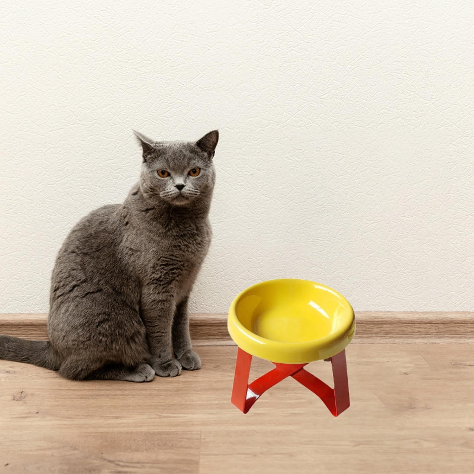 Serenable Cat Bowl Cat Food Dish with Metal Stand, Water Dispenser, Prevents Spills, Ceramic Pet Bowl for Small and Medium Breeds Puppy Yellow