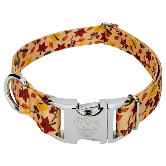Country Brook Petz® Premium Fall Foliage Dog Collar, Large