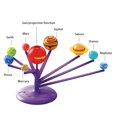 thumbnail image 2 of Sistema Solar Planetario Planeta Modelo Tallo Juguetes Sistema Solar Planetario DIY Ciencia Kit Planeta Modelo Tallo Juguetes Regalo Para Niños Adolescentes ANGGREK No, 2 of 7