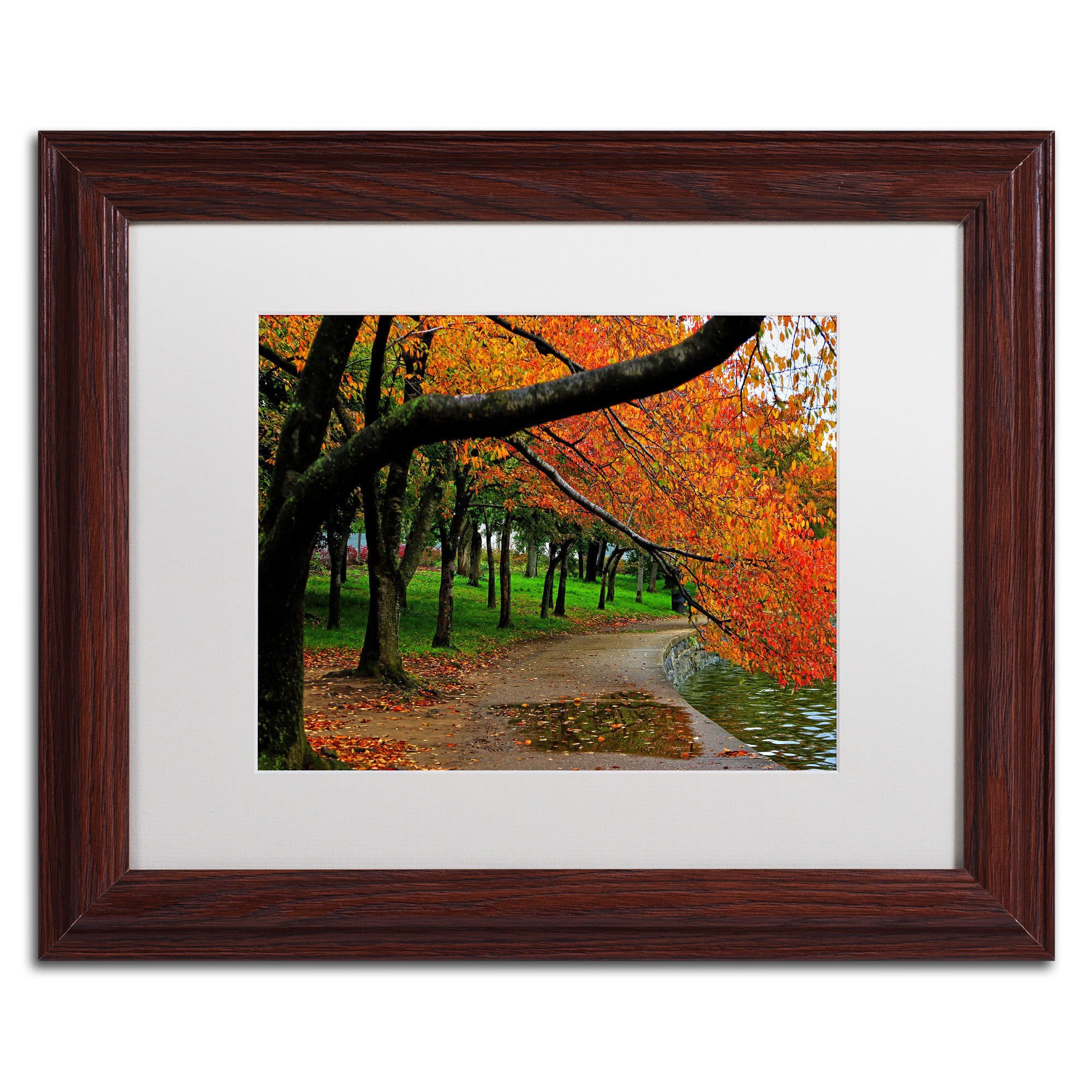 Trademark Fine Art "Tidal Basin Autumn 2" Canvas Art by CATeyes, White Matte, Black Frame
