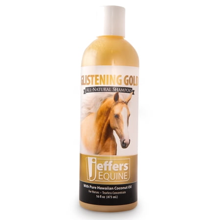 Jeffers Equine Glistening Gold Tearless Horse Shampoo, 16 oz - Concentrated Deodorizing Horse Shampoo w/ Pure Hawaiian Coconut Oil & Vitamin E, pH Balanced for Moisturized, Shiny & Show Ready Coats