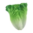 thumbnail image 6 of Simulation lettuce realistic vegetable decoration lettuce PU fake vegetable, 6 of 6