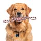 thumbnail image 4 of Cuerda de masticar en forma de nudo para perros Unique Bargains, cuerda de algodón trenzada duradera para limpiar los dientes de gatos y perros, azul y naranja, 4 of 7