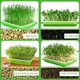 thumbnail image 5 of Giyblacko Seed Disseminators Seedling Tray Of Sprouted Vegetable Double Layer Seedling Tray Soilless Culture Hydroponics Vegetables Grow Tray, 5 of 7