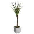 thumbnail image 1 of 78 in. Real Touch Agave Plant with Fiberstone Planter, 1 of 1