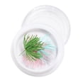 thumbnail image 1 of Flor seca real Colcomx decoración de uñas acrílicas de gel, 1 of 8