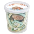 thumbnail image 4 of Cangrejos Ermitaños Vivos Nature Gift Store 3 Pequeños con Conchas, 4 of 9