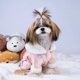 thumbnail image 1 of Abrigo Para Mascotas, Abrigo Para Perros, Ropa De Algodón Para Perros, Chaqueta De Invierno Para Perros Para Cachorros, Gatos, Perros YLSHRF Otros, 1 of 8
