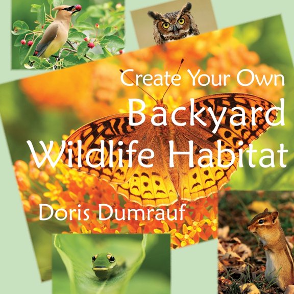 Create Your Own Backyard Wildlife Habitat, (Paperback)