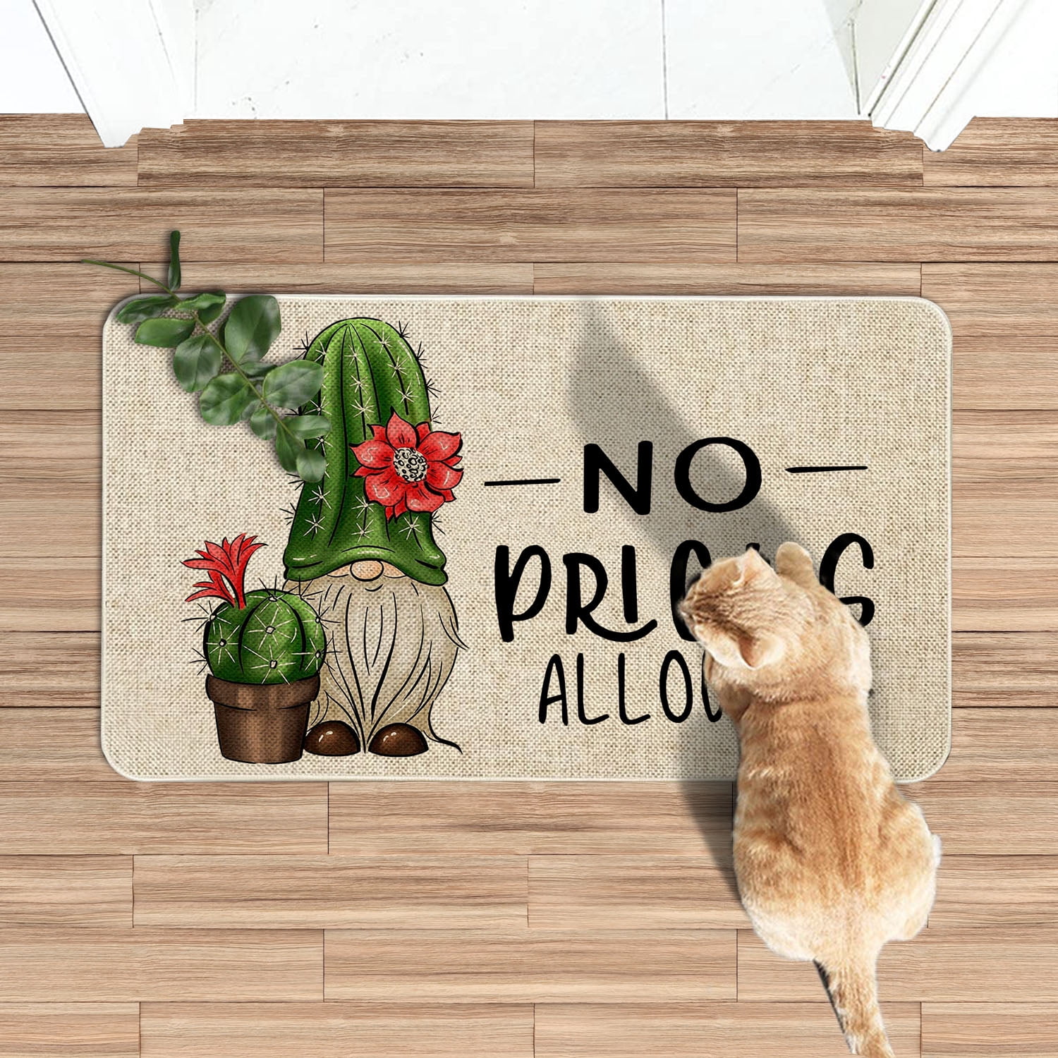 Spring Summer Door Mat 30 X 17 Inch No Picks Allowed Cactus Doormat Indoor Outdoor Entrance Funny Floor Mat Non Slip Summer Decor Rubber Welcome Mats