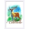 thumbnail image 1 of Colorado - Deer - Watercolor - Lantern Press Artwork (16x24 Giclee Art Print, Gallery Framed, White Wood), 1 of 1