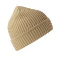 thumbnail image 1 of Atlantis - Gorro Beanie Maple Acanalado de Reciclado para Adultos Unisex (Burdeos Mezcla), 1 of 3