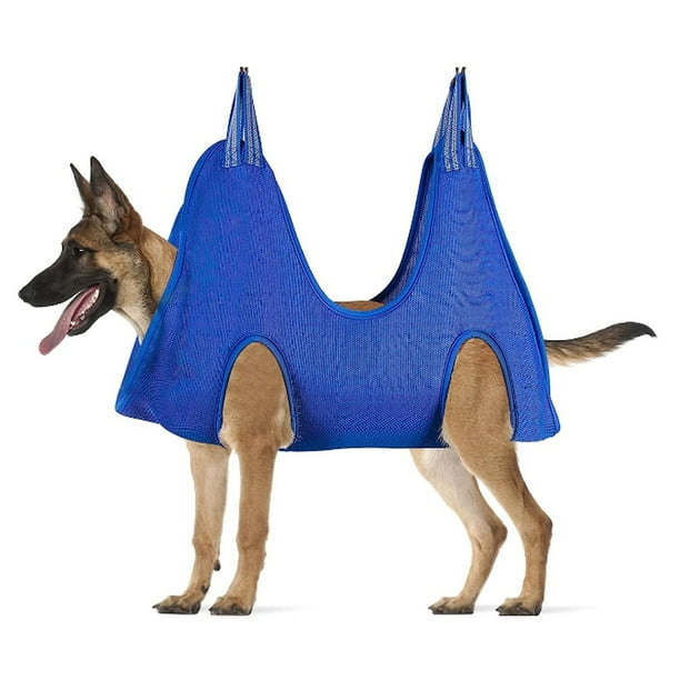 Nail trimming harness for dogs cheap