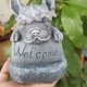 thumbnail image 5 of 1 pieza de decoración de jardín de bulldog francés, estatua de letrero de bienvenida en el patio, césped en el patio, decoraciones divertidas, estatua exterior, decoraciones de regalo de jardinería, 5 of 5
